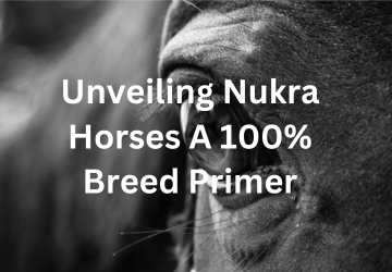 Unveiling Nukra Horses | A 100% Breed Primer