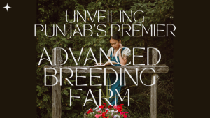 Advanced Breeding Farm